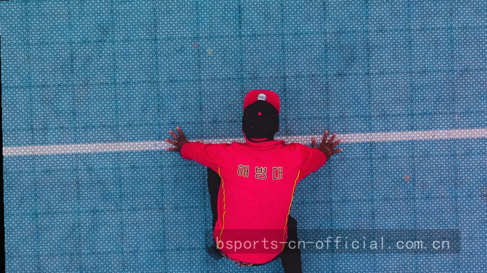 三段式版本号分段标注的示意图形，含主版本、次版本与修订号的色块划分